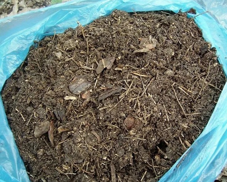 tierra para bonsáis