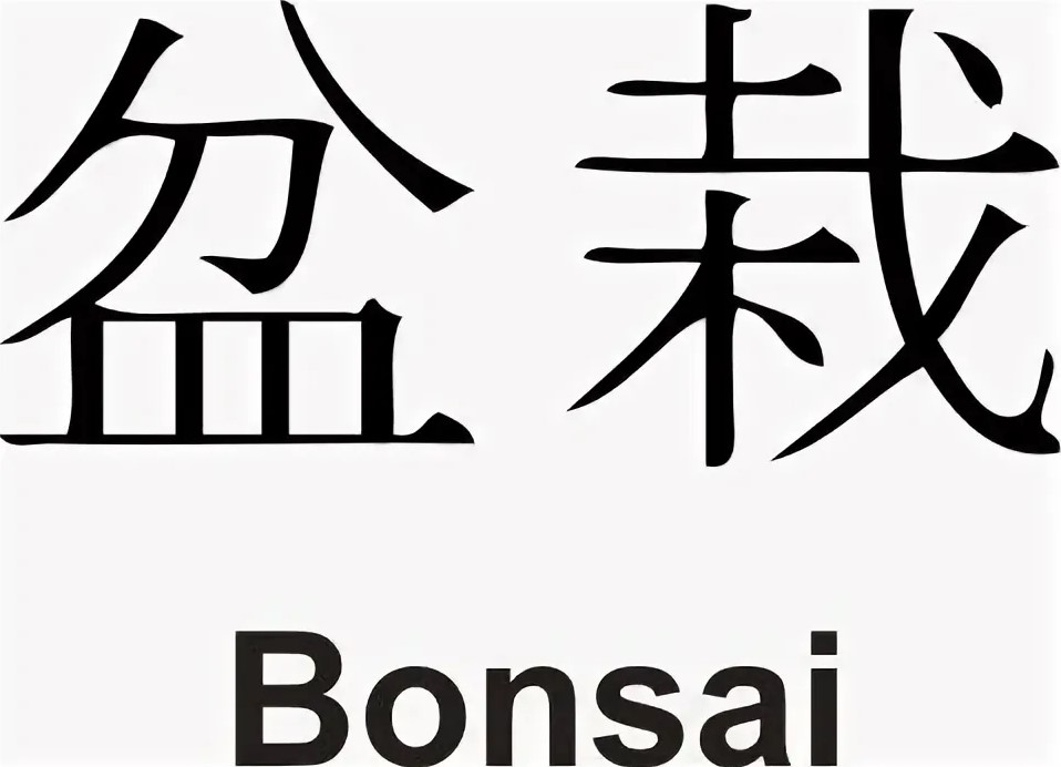 Definición de Bonsái