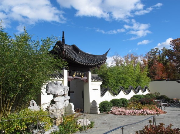 museo del bonsái