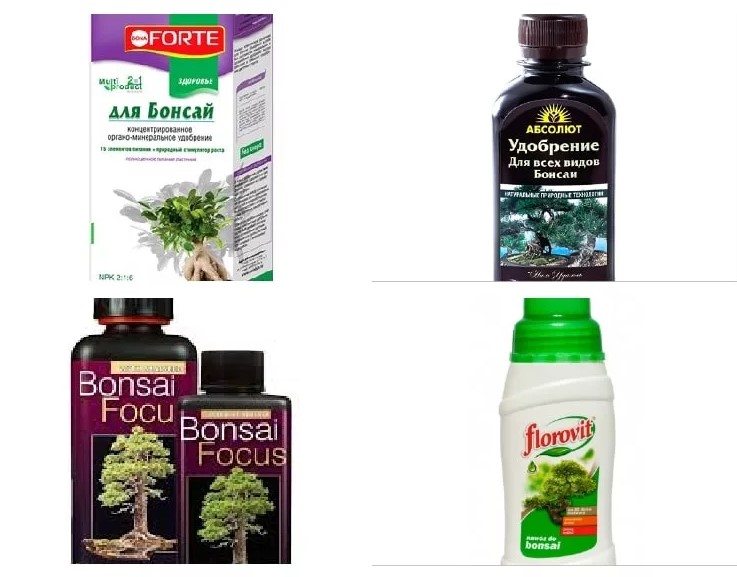 fertilizante para bonsáis