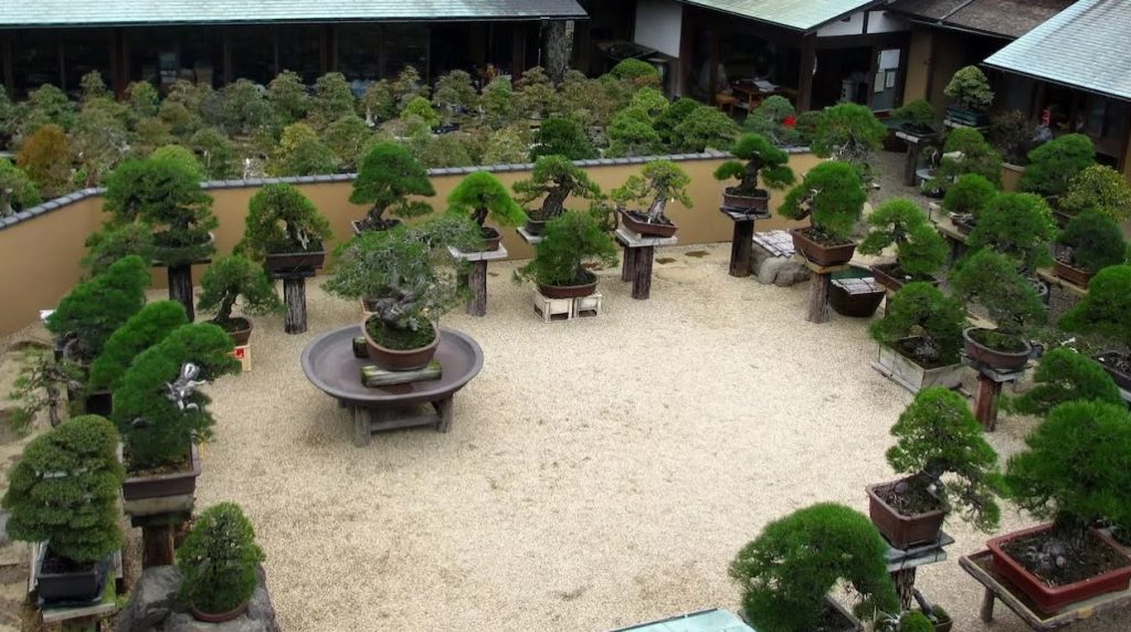Pueblo de bonsáis de Omiya