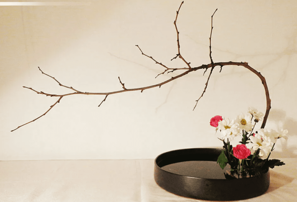 ramas flexibles ikebana