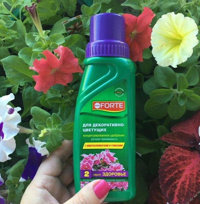 Fertilizantes para el crecimiento y floración de plantas y flores de interior.