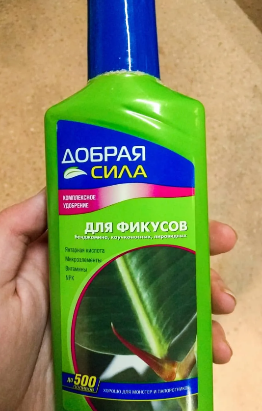 Fertilizante para ficus