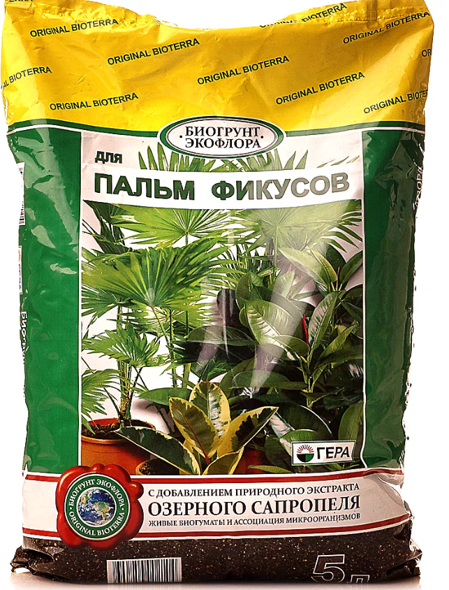 tierra para palmeras