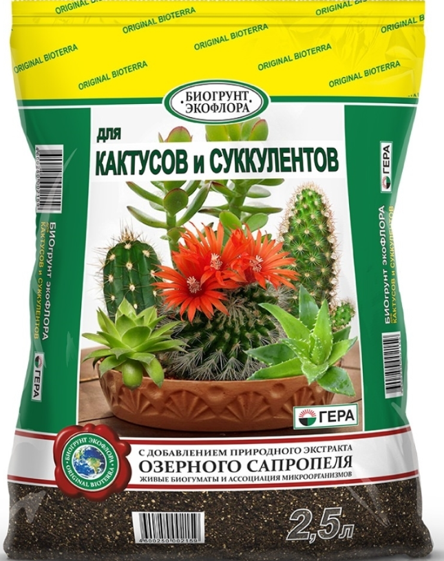 tierra para cactus o suculentas